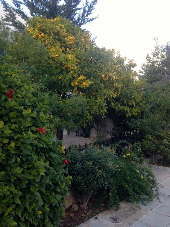 Paphos Studios Exterior foto